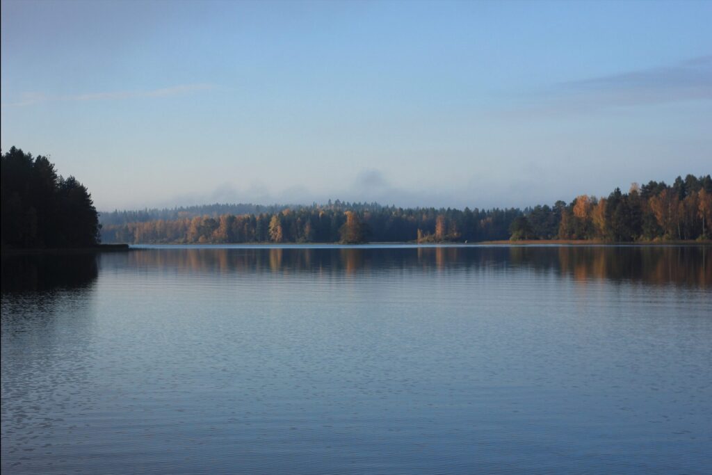 “Digitalta on aina saanut apua” – Digitan ja Kinnulan kunta yhteistyössä